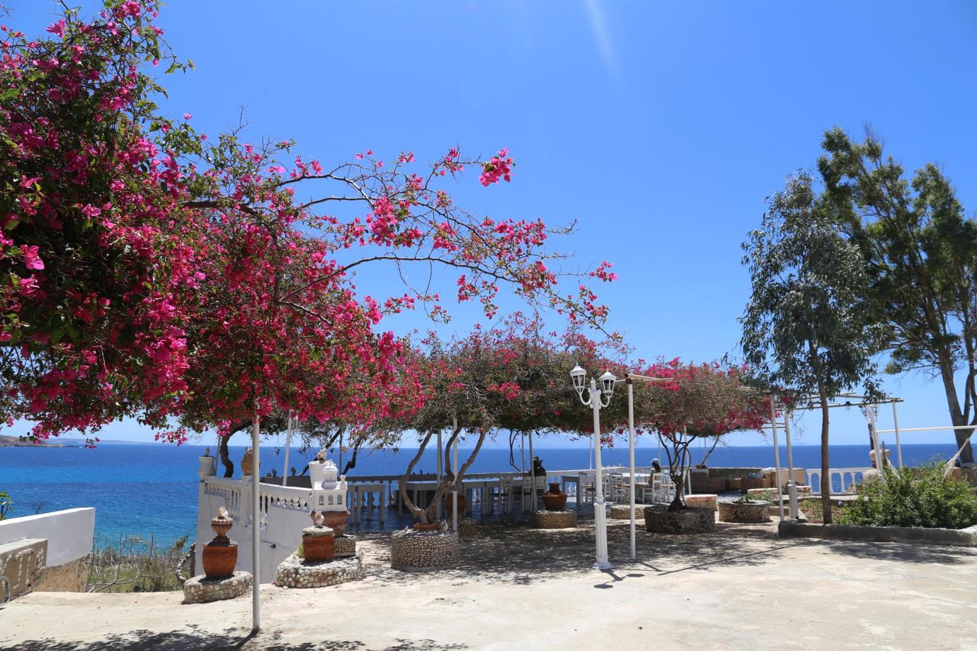 Kathys Island Retreat Aparthotel Adia Exterior photo